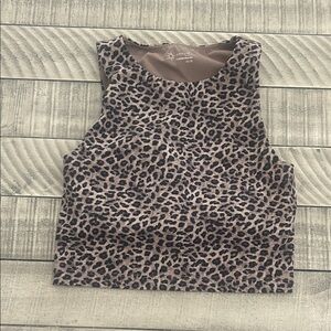 Aerie Animal Print Crop Top